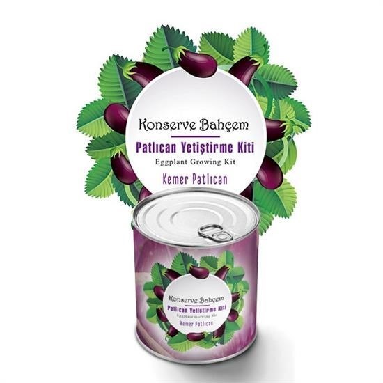BUFFER® Konserve Bahçem Evde Konservede Kemer PatlıcanYetiştirme Kiti