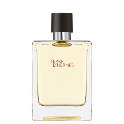 Terre D'Hermes 100 ml Edt
